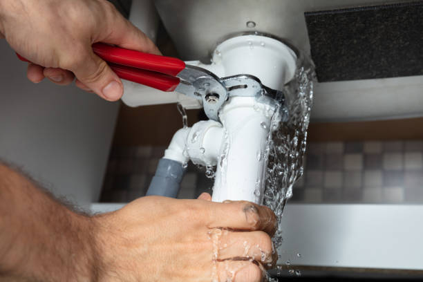 Best Water damage mitigation services  in Randolph, NE