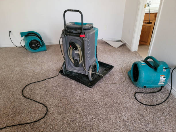 Best Local water damage restoration  in Randolph, NE