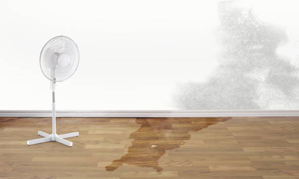 Best Sewage cleanup and water damage restoration  in Randolph, NE