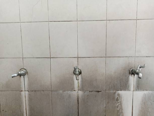 Best Fire Damage Restoration  in Randolph, NE