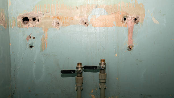 Best Water damage contractors near me  in Randolph, NE