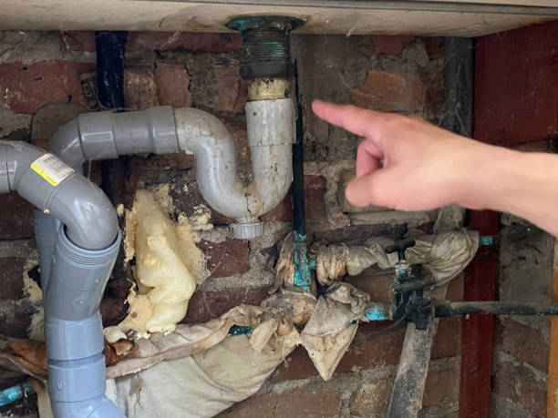 Best Carpet water damage restoration  in Randolph, NE