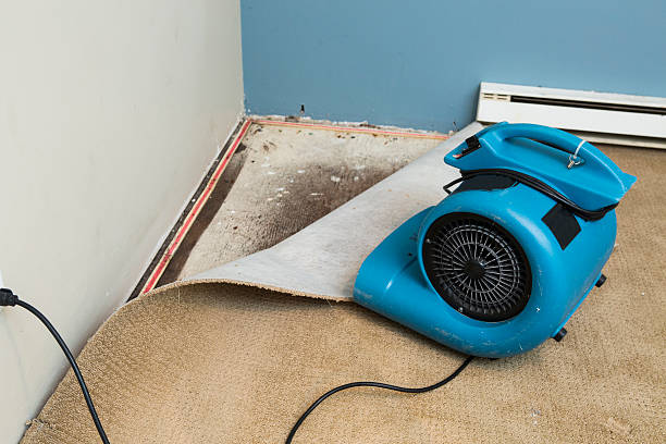 Best Basement water damage restoration  in Randolph, NE