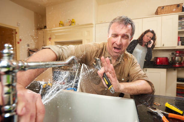 Best Commercial water damage restoration  in Randolph, NE